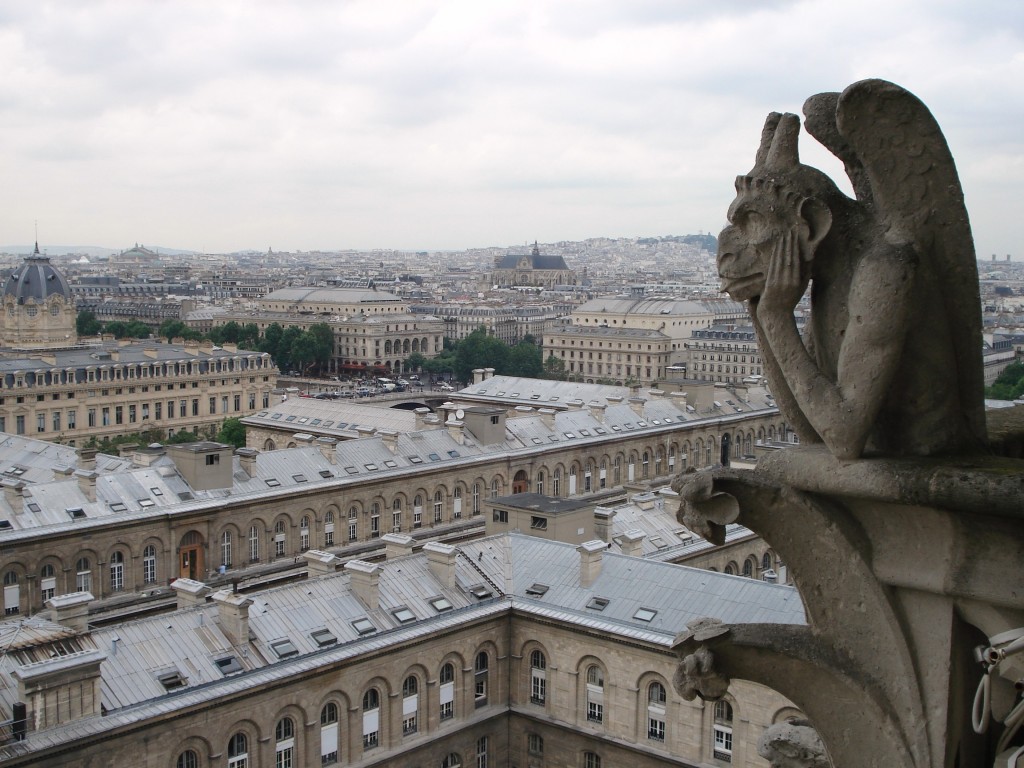 view from Notre Dame